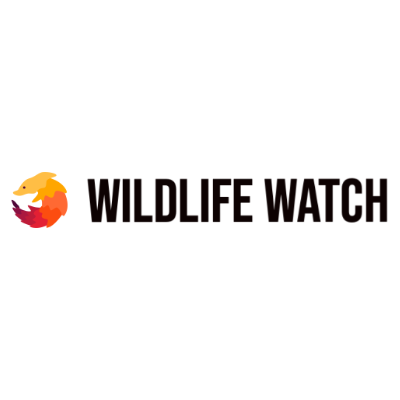 Wildlife Watch